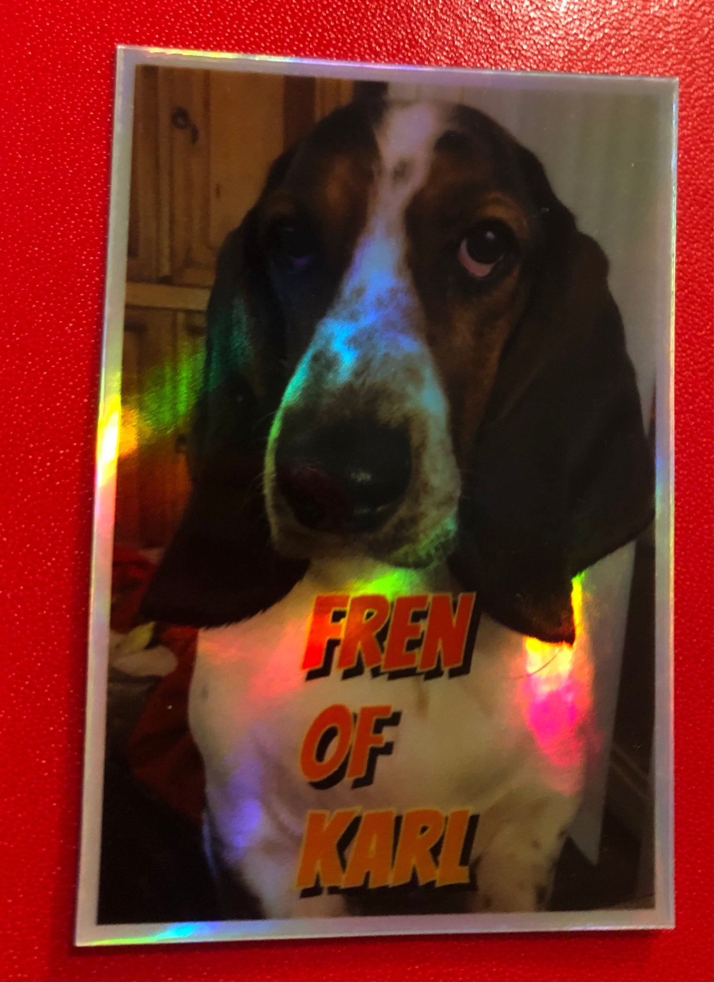 Hologram sticker showing Karl that says Fren of Karl 